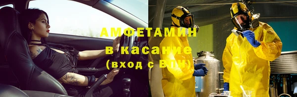 шишки Новодвинск