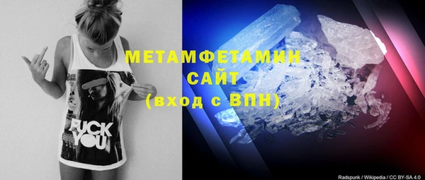 шишки Новодвинск