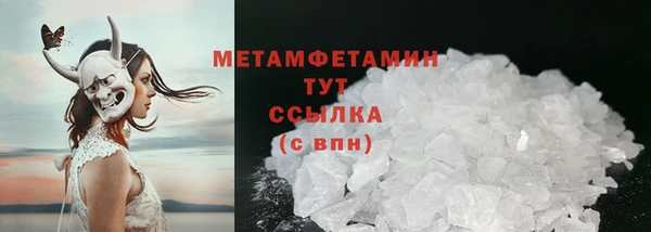 шишки Новодвинск