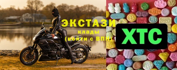 шишки Новодвинск