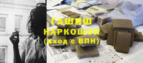 шишки Новодвинск