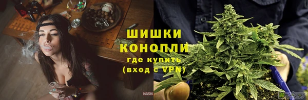 кокс Няндома